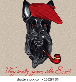 Vector hipster dog Scottish Terrier breed in red beret with a pipe