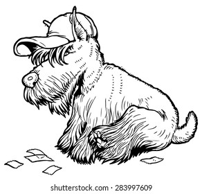 Vector hipster dog Scottish Terrier breed in hat