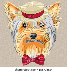 vector hipster dog Yorkshire Terrier breed in a Straw boater and bow tie