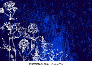 Vector hipster grunge texture. Hand-draw  template for label/Background with hand-draw wild flowers and herbs. Layout, mockup design. With place for text. 