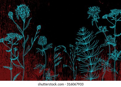 Vector hipster grunge texture. Hand-draw  template for label/Background with hand-draw wild flowers and herbs. Layout, mockup design. With place for text. 