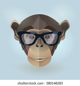 Vector hipster monkey chimpanzee portrait