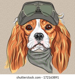 Vector Hipster red dog Cavalier King Charles Spaniel breed in cap and cravat khakis and glasses