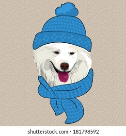 Vector hipster Samoyed dog smile in a blue knitted hat and scarf