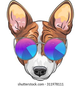 Vector hipster smiling dog Basenji  breed in trendy multicolored mirror sunglasses