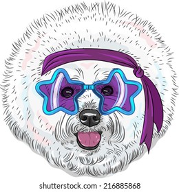 Vector hipster Star Disco dog Bichon breed  in fashionable glasses-stars with headband