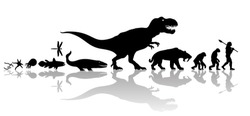 Vector History Of Life On Earth. Timeline Of Evolution From Prehistoric Animals, Dinosaur, Saber Toothed Tiger, Monkey To Cave Man. Silhouette With Transparent Reflection Isolated On White Background.