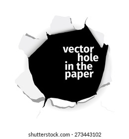 Vector hole in the paper isolated on white background