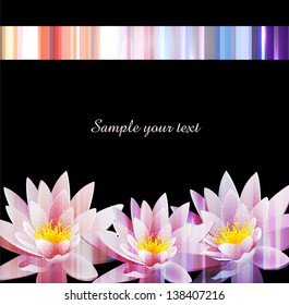 vector holiday background with a water lily