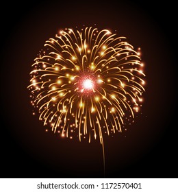 Vector holiday festival golden firework. Independence day 