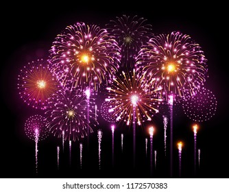Vector holiday festival pink firework. Independence day