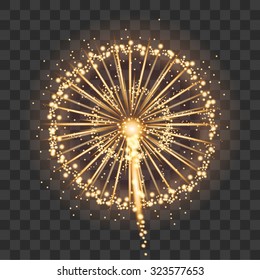 Vector holiday firework