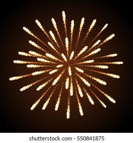 Vector holiday firework. Independence day