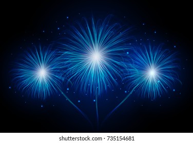 Vector holiday firework. Independence day