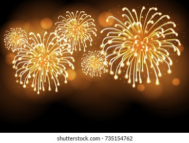 Vector holiday firework. Independence day