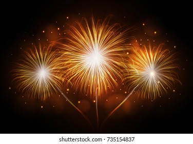 Vector holiday firework. Independence day