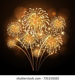 Vector holiday firework. Independence day