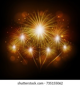 Vector holiday firework. Independence day