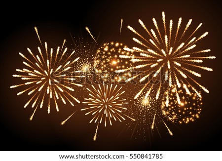 Vector holiday firework. Independence day