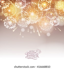 Vector holiday fireworks