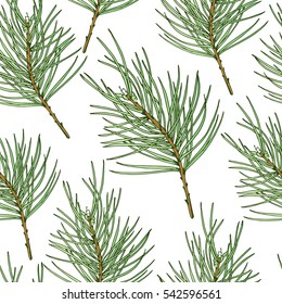Vector holiday illustration Happy Holidays. Seamless pattern with a branch of pine on white background.