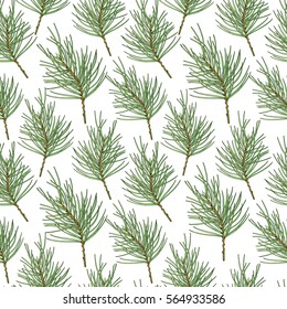 Vector Holiday Illustration Happy Holidays. Seamless Pattern With A Branch Of Pine On White Background.