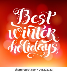 Vector holidays calligraphy poster with ornamental elements on defocused background. Best winter holidays greeting card