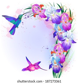 Vector holidays Card with bright multicolored Iris flowers and hummingbirds