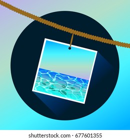 Vector holidays design icon. Sea view from the beach. Memories about holiday. Printed photo hanging on a rope