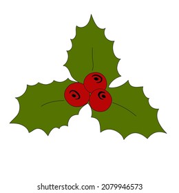 Vector holly berry leaves isolated christmas icon