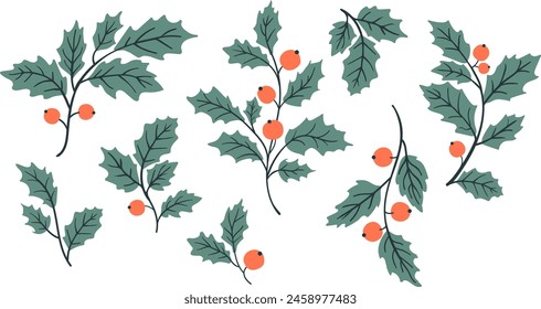 Vector holly leaves and branches set. Christmas symbol