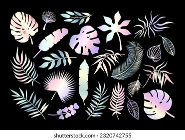 Vector Holographic Palm leaf icons set. Iridescent tropical plants leaves silhouette exotic collection. Rainbow gradient monstera, fan palm, banana, eucalyptus, coconut palm leaves shapes.