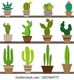 Vector home cactus icons. Cactus icons in a flat style on a white background. Home plants cactus in pots