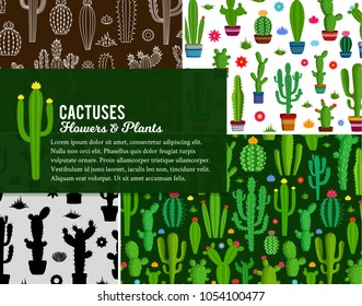 Vector home cactus illustration