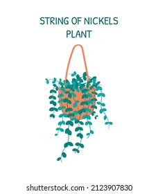 Vector home hanging plant String of Nickels in a pot isolated on white background.