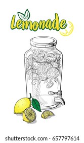 Vector home made lemonade with straw and slice of lemon illustration. Hand drawn sketch of soft drink for restaurant, bar, cafe menu design