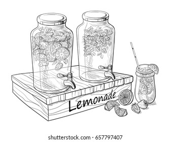 Vector home made lemonade with strawberry and slice of lemon illustration. Hand drawn sketch of soft drink for restaurant, bar, cafe menu design