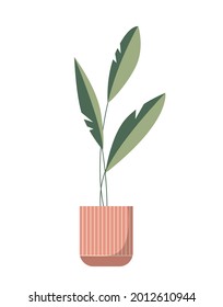 Planta de vectores en la olla aislada en un fondo blanco.