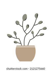 Planta vectorial en una olla aislada en un fondo blanco.