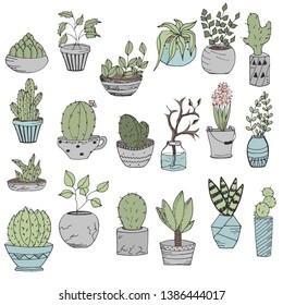 Vector home plants and cacti in pots