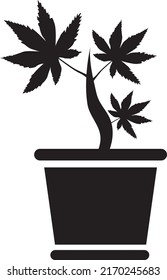 Vector de plantas domésticas Clip art sobre fondo blanco.. eps
