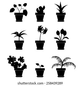 Vector Home Plants Clip art