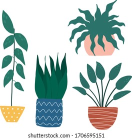 Vector home plants in flat style. For cards, textile.  
