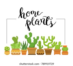 Vector home plants framed illustration with home cacti in pots. Nature green plant in pot, indoor flowerpot succulent cactus