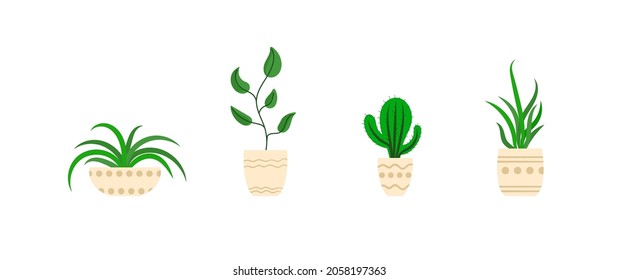 Plantas del hogar vectorial aisladas en fondo blanco, iconos, plantas en ollas, ilustración vectorial.
