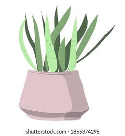 vector homegardening plants in pots