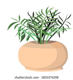 vector homegardening plants in pots