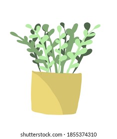 vector homegardening plants in pots