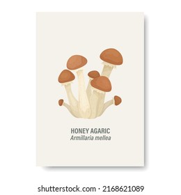 Vektor Honey Agaric Pilz einzeln auf Weiß. Karte mit handgezeichneten Cartoon Honey Agaric Pilze. Design-Vorlage, Clipart-Kunst. Armillaria Mellea. Pilzset