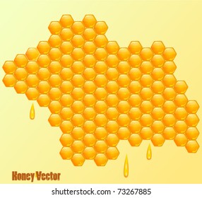 Vector honey background